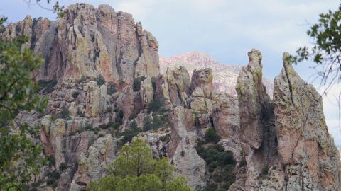 Chiricahua Mountains