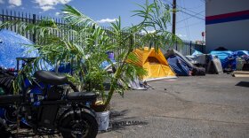 The encampment located in the parking lot of Quirky Used Books in Albuquerque is pictured on April 25, 2025.