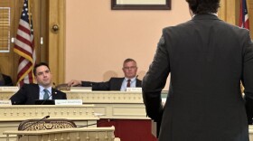 Rep. Steve Demetriou (R-Bainbridge Twp.) in committee in March 2025.