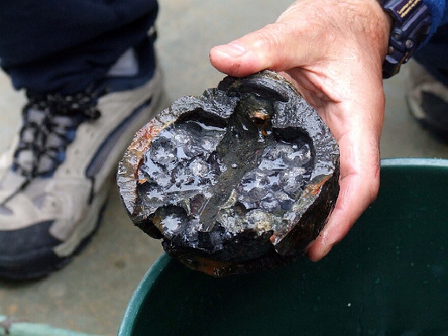 This is believed to be a Civil War-era cannonball, similar to the one Michael Jacobs discovered in Durham recently. 