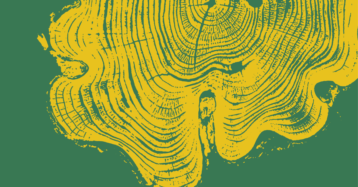 A University of Oregon literary magazine first published in the 1950s makes a comeback in the digital age
