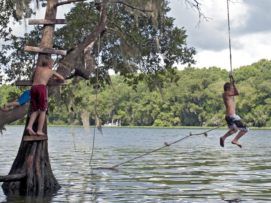 As Florida temperatures hover in the 90's, boys use a swing rope to cool off in the Suwannee River near Chiefland, Fla.