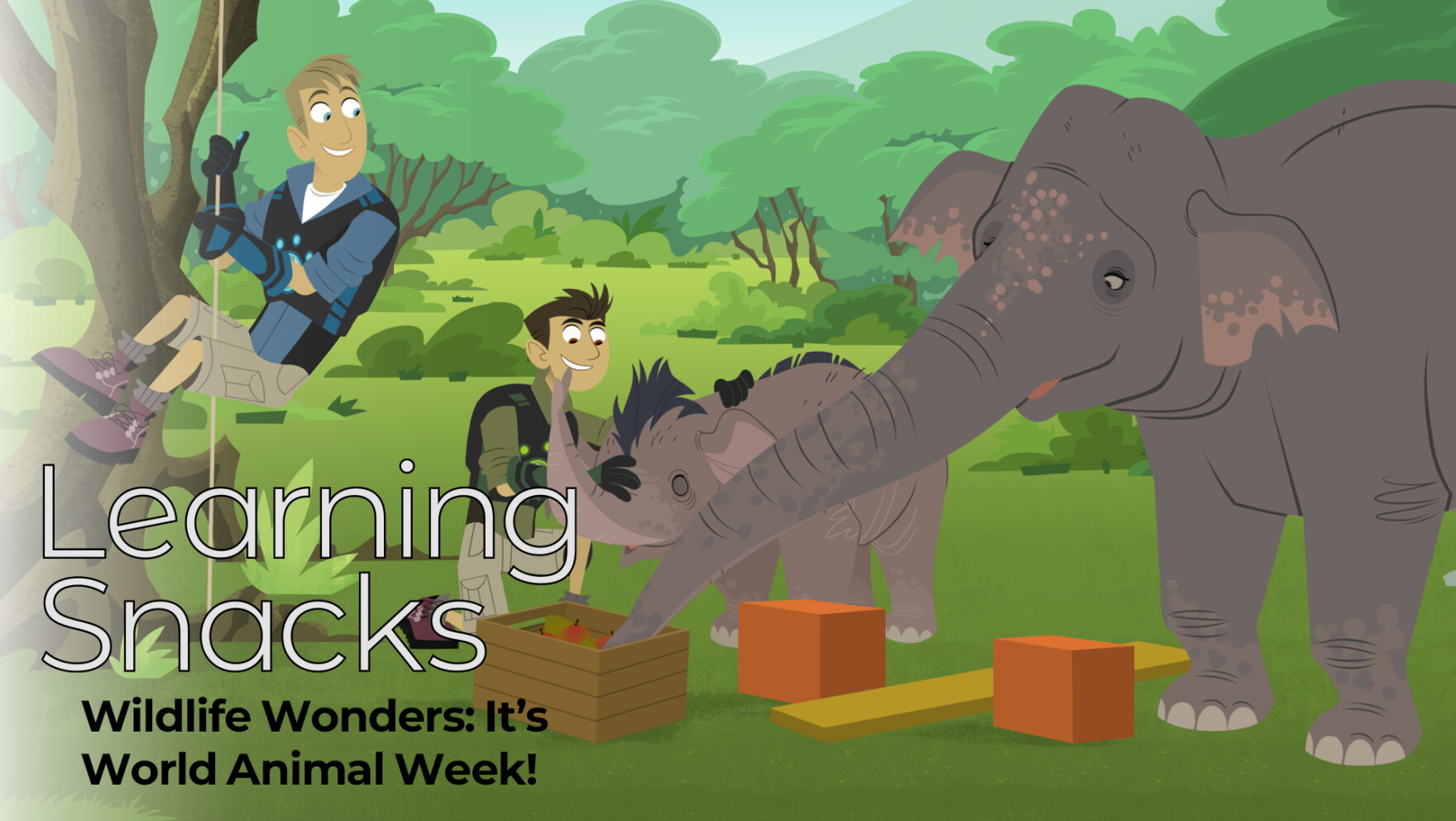 Animal Week Wildlife Wonders: It’s World Animal Week! | Connecticut Public