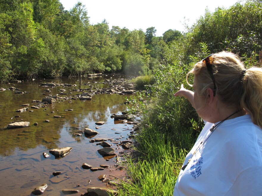 Laurie Barr points to an abandoned well located in the middle of a McKean County, Pa., stream.