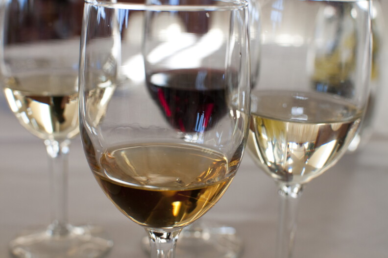 Four glasses of different wine sit on a table.