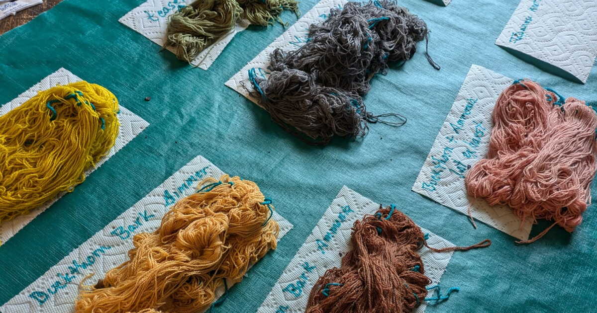 Invasive Line Color Where's Art: Invasive Colors & Conductive Art | The North 103.3 FM
