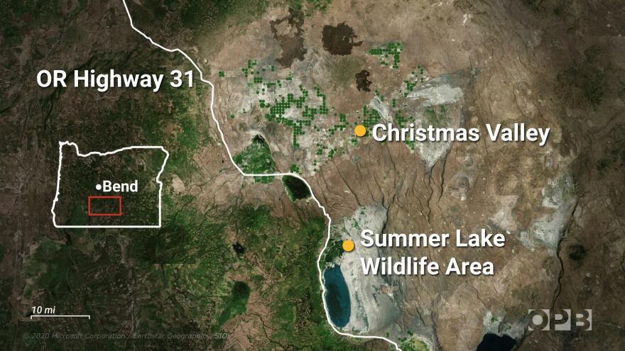 Satellite imagery shows the Fort Rock Basin in Lake County's Eastern Oregon. 2022 Microsoft Corporation, Earthstar Geographics SIO / OPB