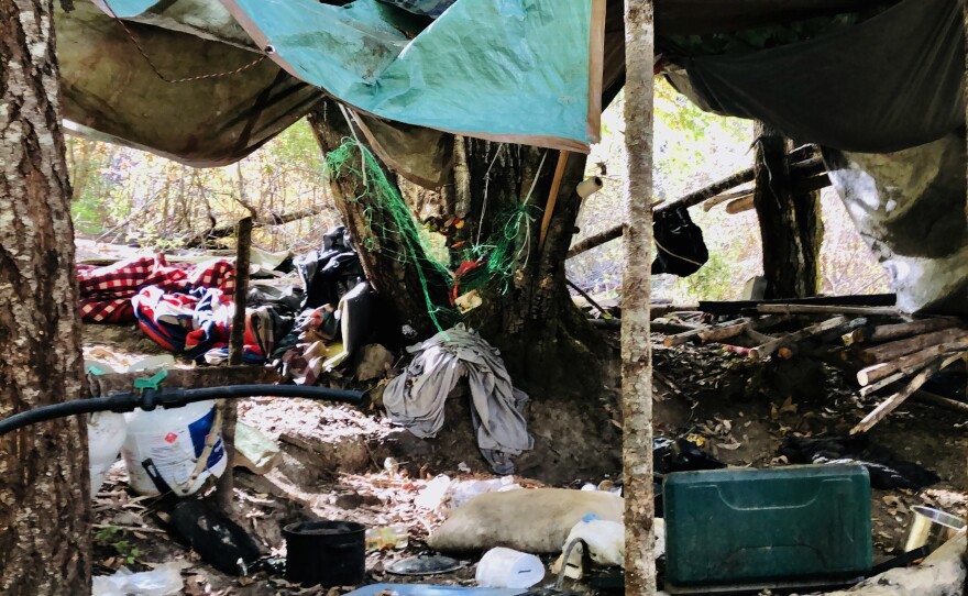 A sprawling grow and camp site was abandoned in California's Shasta-Trinity National Forest. There's some 3,000 pounds of trash here from discarded clothes and propane tanks to 3 miles of plastic irrigation pipes — an indication this site has likely been used for years.