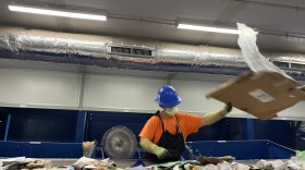 A recycling facility employee holds a large piece of cardboard in their hand while looking down at the streamline of recyclable materials.