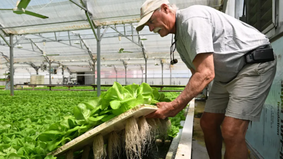 The Connecticut farming industry is changing. Here's a look at how - Vimarsana News