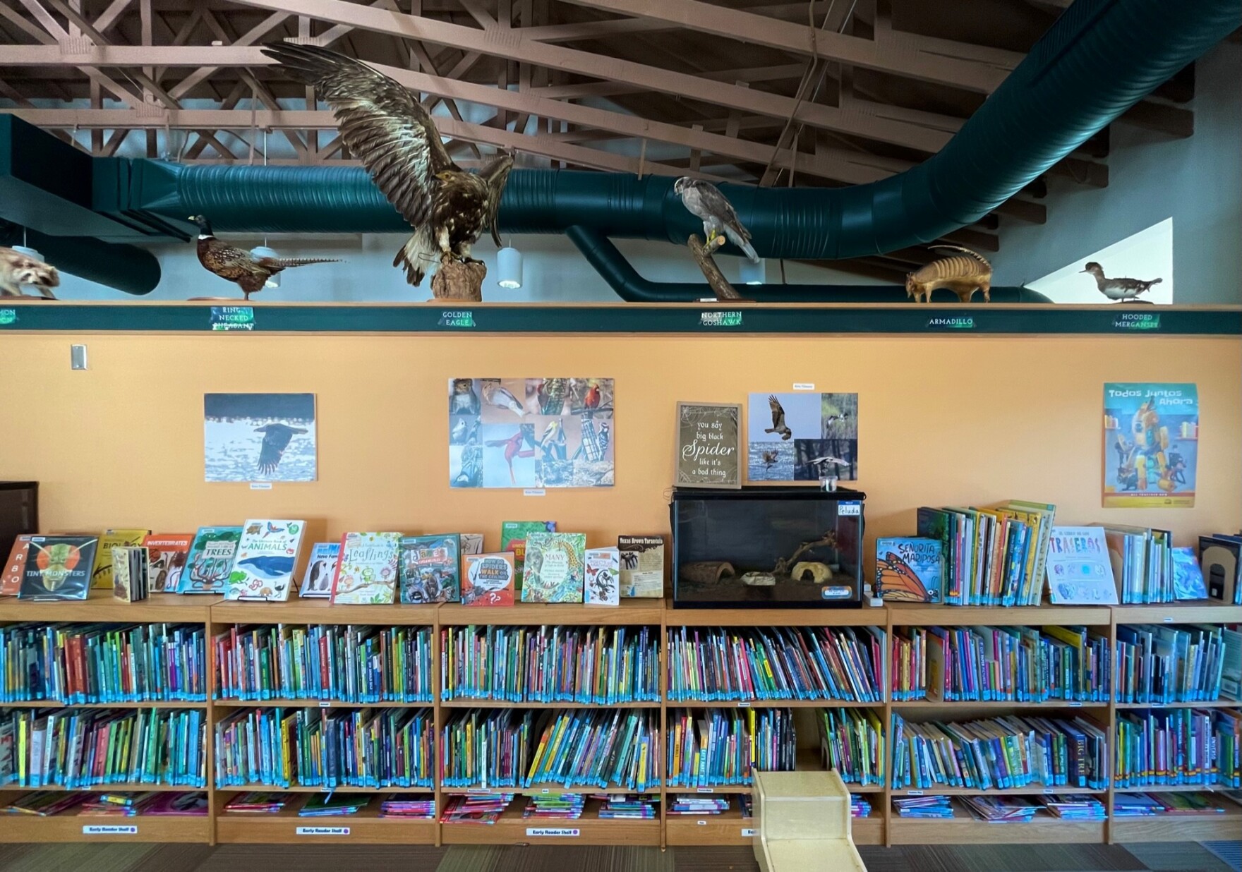 A guide to Kansas City's specialized libraries for history, art