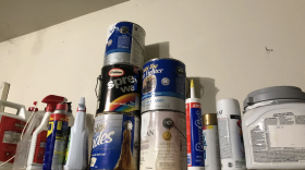 Containers of paint, cleaners and pest control chemicals sit on a shelf in a residential garage.