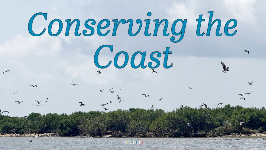 Birds fly above brush along a shoreline.