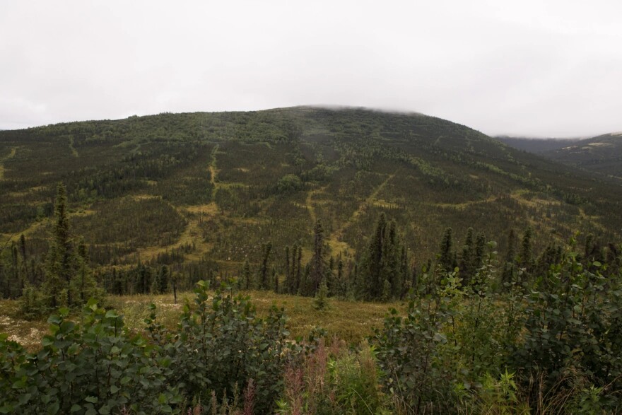 The proposed Donlin Gold mine site on August 19, 2017.