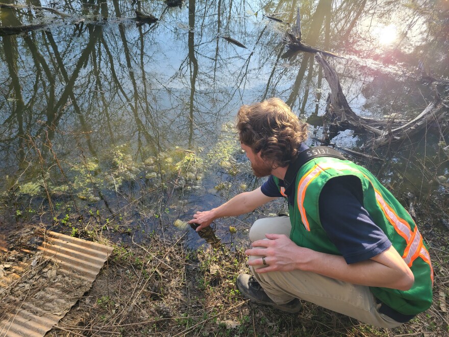 man points to gloopy sack in pond