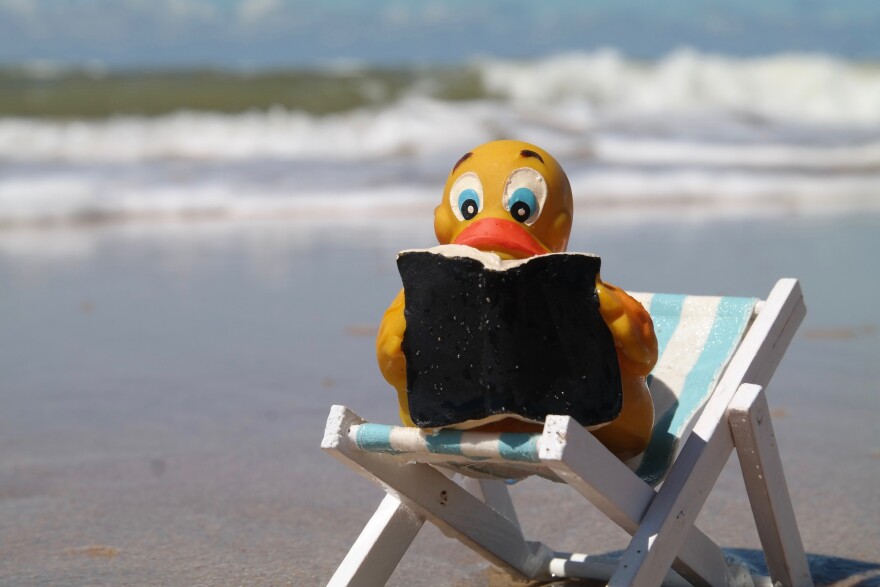 Duck in a Beach Chair reading