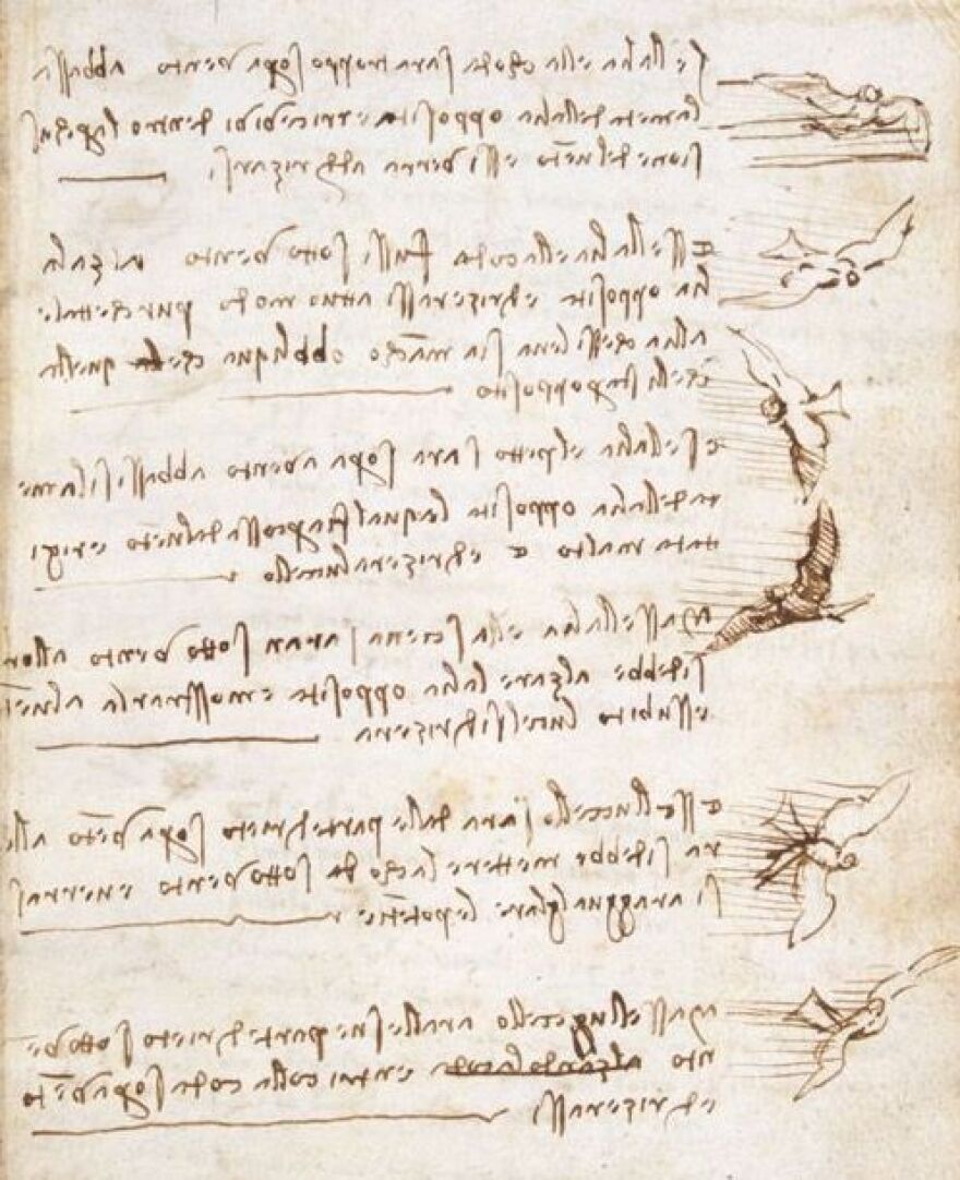 da Vinci's birds