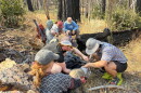 Medical students work in pairs to help the two hikers who were injured, using only what they brought with them on the hike.