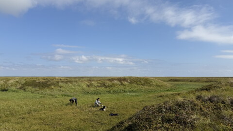 Members of the Paul family pick salmonberries on tundra off the Kugkaktlik River near Kipnuk on August 12, 2026.