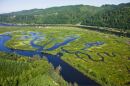 Siuslaw River region