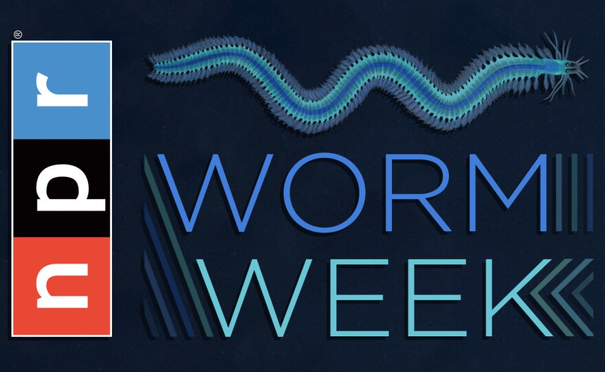 "It may be doubted whether there are many other animals which have played so important a part in the history of the world as these lowly ... creatures." That's what Charles Darwin said about earthworms. His quote applies to parasitic worms, too. This week Goats and Soda looks at the import of the lowly worm. Follow along at <a href="http://npr.org/wormweek">http://npr.org/wormweek</a>.