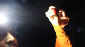 Angel Guerrero, a research technician with the Little Traverse Bay Bands of Odawa Indians, holds a jar of larval whitefish preserved in ethanol. The small fish, each roughly the size and color of a fingernail clipping, serve as a reference while a team searches river samples for live fish of the same size. (Photo: Ellie Katz/IPR News)