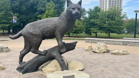 A statue of the University of Kentucky’s mascot, a wildcat named “Bowman,” sits on the campus in Lexington.