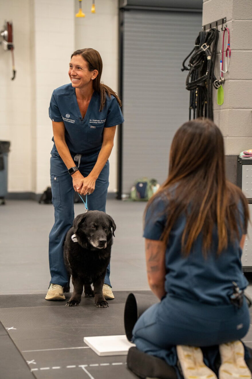 Dr. Stephanie McGrath and Elizabeth Stinar test a dog's cognition by engaging him in behavioral exercises