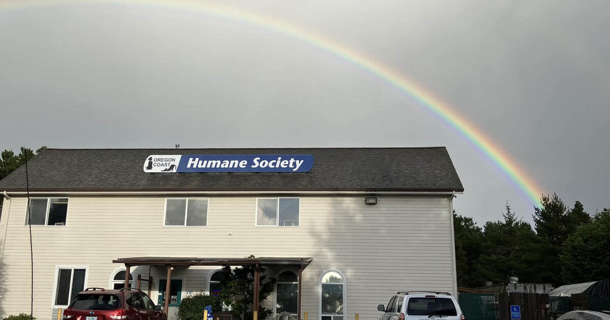 Oregon Coast Humane Society buys its headquarters as nonprofit eyes expansion