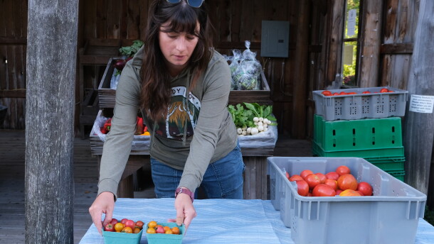 The Moody Root Farm Stand off County A between Sugar Camp and Three Lakes is open Fridays from 9:00 a.m. to 1:00 p.m. during the growing season.