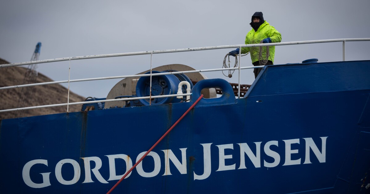 Togiak herring fishery's only processor says it aims for "zero impact