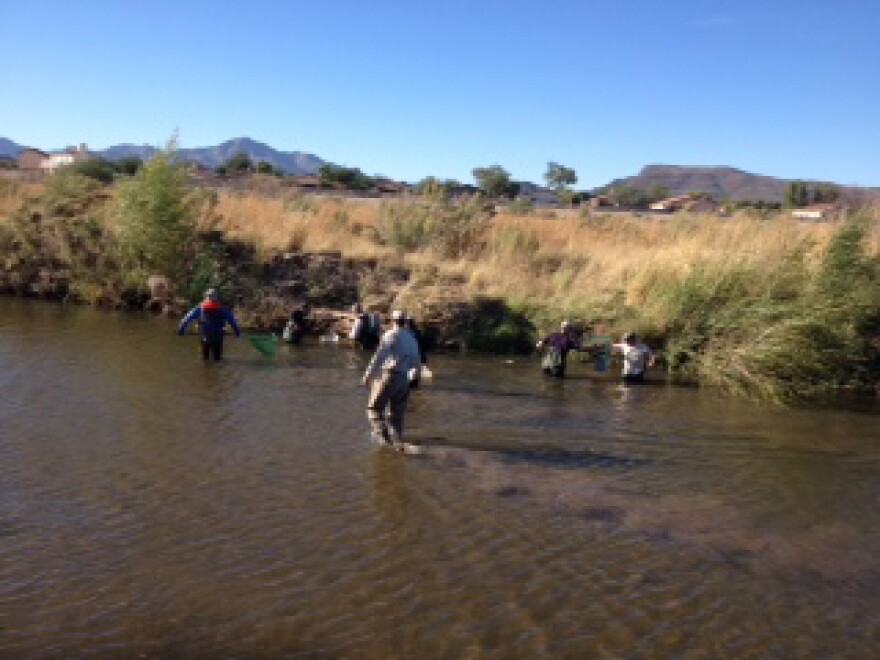 Santa Cruz River