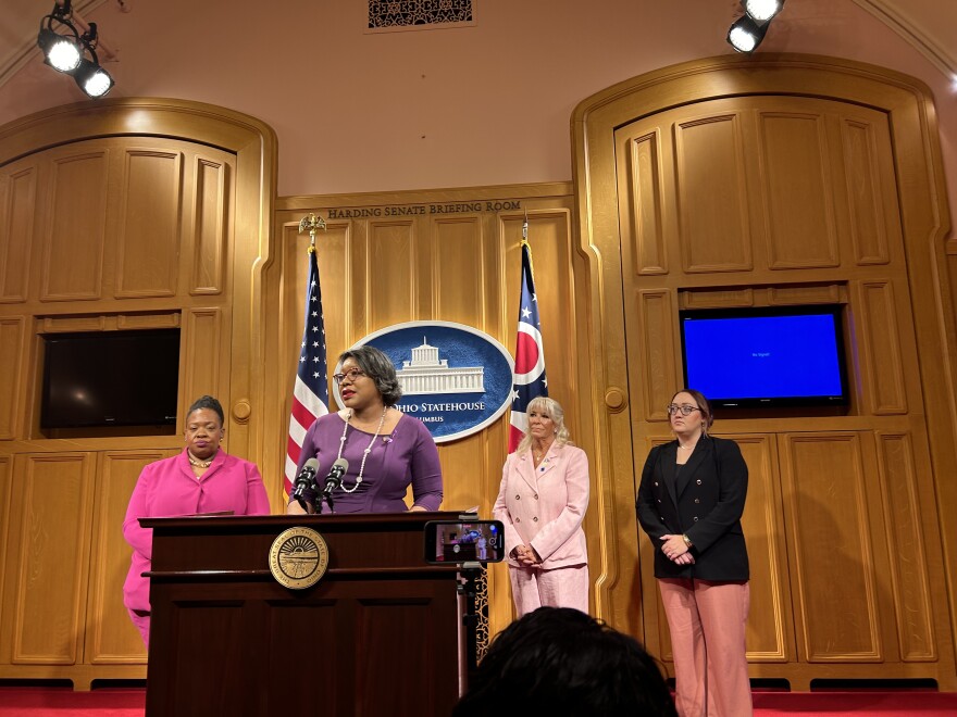 Antidomestic violence bill introduced in Ohio legislature, for the