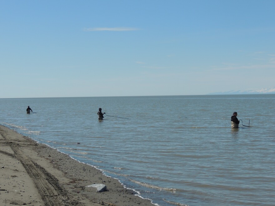 Dipnetters at South Kenai Beach on July 13.