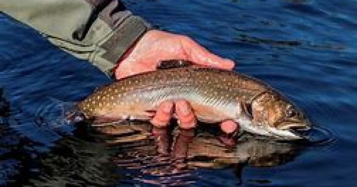 State proposing regulation changes governing ice fishing and open water fishing