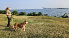 A dog-walker stops to enjoy the riverfront view at the Lambert’s Point course. (Photo courtesy of Mary Beth Horton)