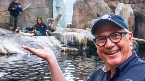 Dr. John Fraser, director of mission impact at the Alaska SeaLife Center in Seward, stands in the center’s seabird exhibit on Aug. 21, 2025. Fraser recently received the Association of Zoos and Aquariums’ Devra Kleiman Scientific Advancement Award.