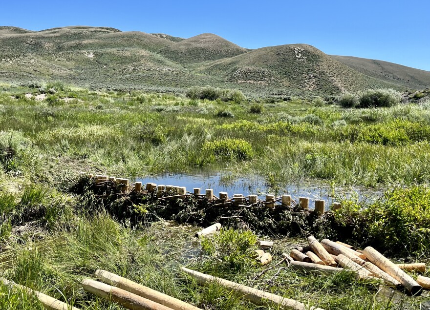 A completed dam at the Muddy Creek restoration site next to unused wooden stakes. The surrounding hillsides are mostly brown, while the area around the stream is much greener.