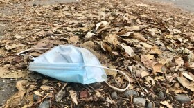 A blue surgical mask sits in a pile of dead leaves in a back alley.