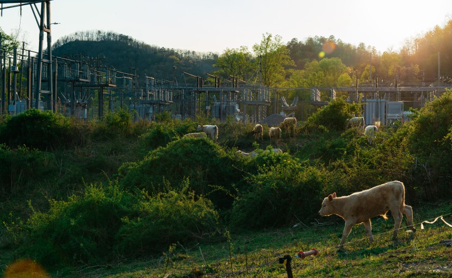 A power station behind the newly built data center in Marble, Cherokee County, NC on April 7, 2026. Residents question how much water and electricity this facility will require. This facility is surrounded by agricultural land along highway 74 that follows a long valley.