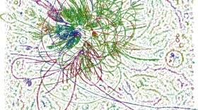 This graphical map shows how millions of strands of DNA form a tangle of information, from bacteria, archaea, and viruses -- and helps show which ones can be grouped together.