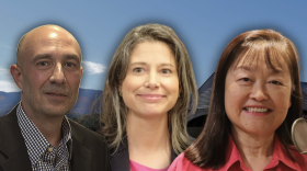Robbie Mahrou, Maggie Goodlander and Lily Tang Williams are vying for New Hampshire's 2nd Congressional District.