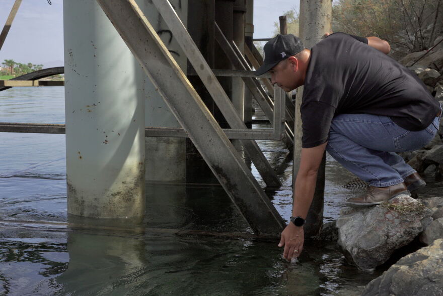 Fort Mojave Indian Tribe chairman Timothy Williams squats down to touch the water in the Colorado River, water which the tribe relies on both economically and culturally, on July 14, 2026 on the border of California and the Fort Mojave reservation (Jimmy Romo/KNPR)