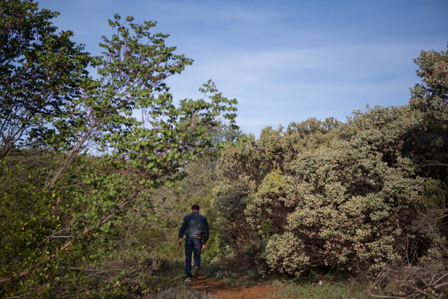 Ken Pimlott, who headed Cal Fire for over 30 years, walks through a suburban neighborhood that sits right next to highly combustible land. He says we can't keep rebuilding in fire zones: "We're going to be spending months looking for people. Bodies of people in rubble. And we can't keep doing that."