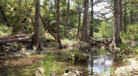 Honey Creek, taken Aug. 14, 2018 from Honey Creek State Natural Area