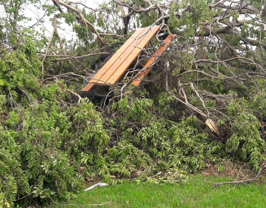 Tree damage following 2019's Memorial Day Tornadoes 