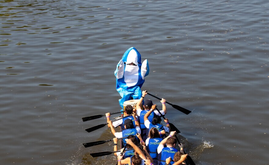 Left Shark serves as a drummer during Fort Wayne's eighth annual Dragon Boat Races on August 3, 2024.