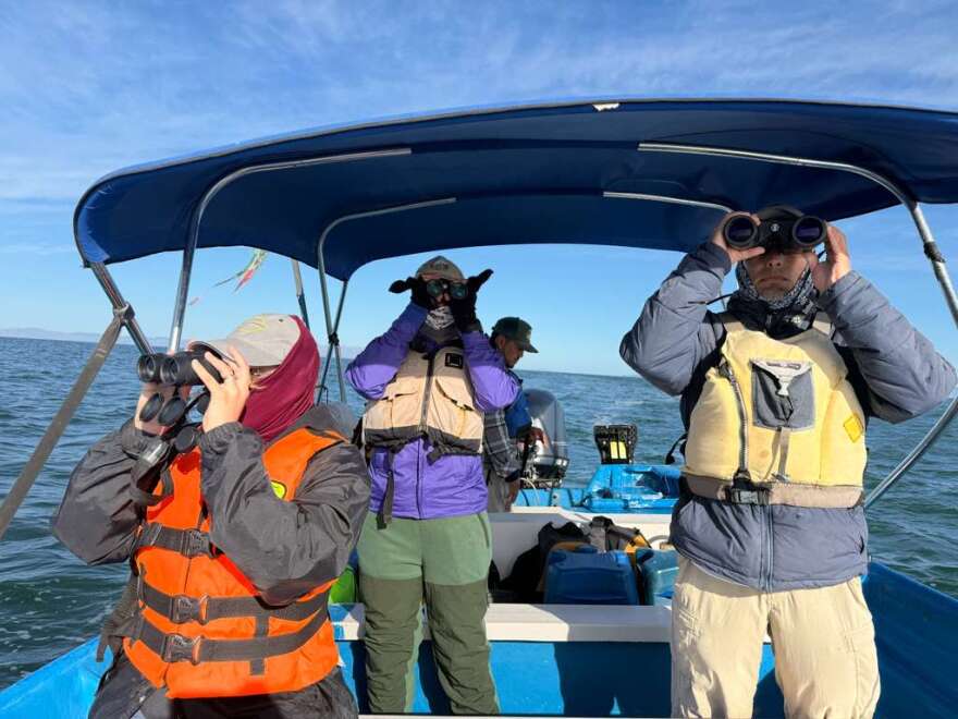 Three scientists on a weekly outing to monitor marine mammals for the Prescott College Kino Bay Center in Bahía de Kino, Sonora.