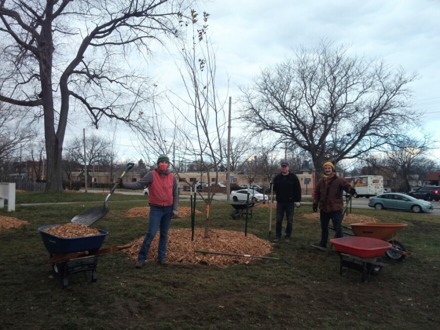 Eight of Cudell Orchard's trees were transplanted to a new site in the neighborhood.