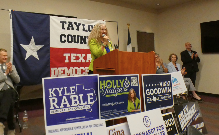 Holly Taylor, a Democratic candidate for the Texas Court of Criminal Appeals, addresses supporters. Photo by Allison McCall.